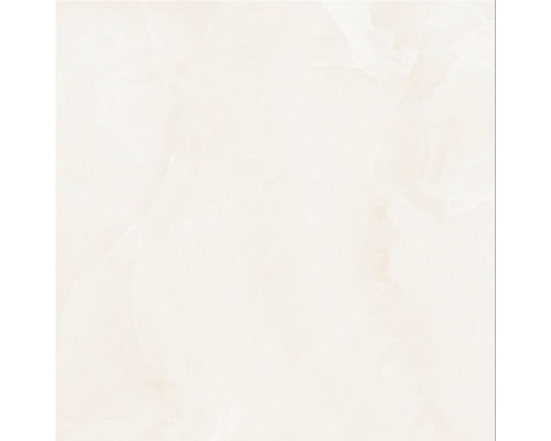 AB1009