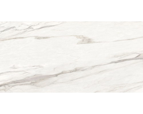 Calacatta Monsoon 60120CMN01