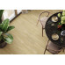 Walnut Light D30015M