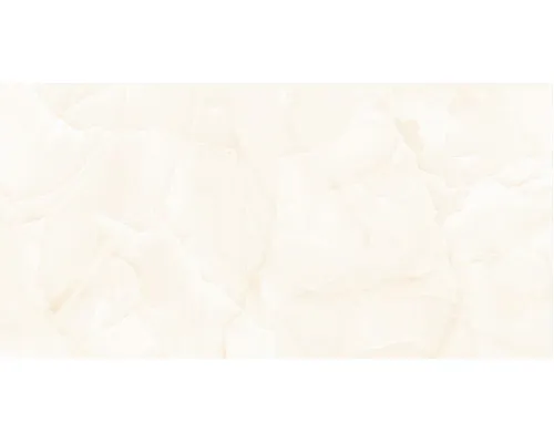 AB1010